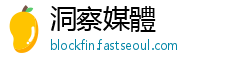 洞察媒體